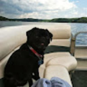 Meet your Posher, Christy